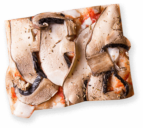 slice3